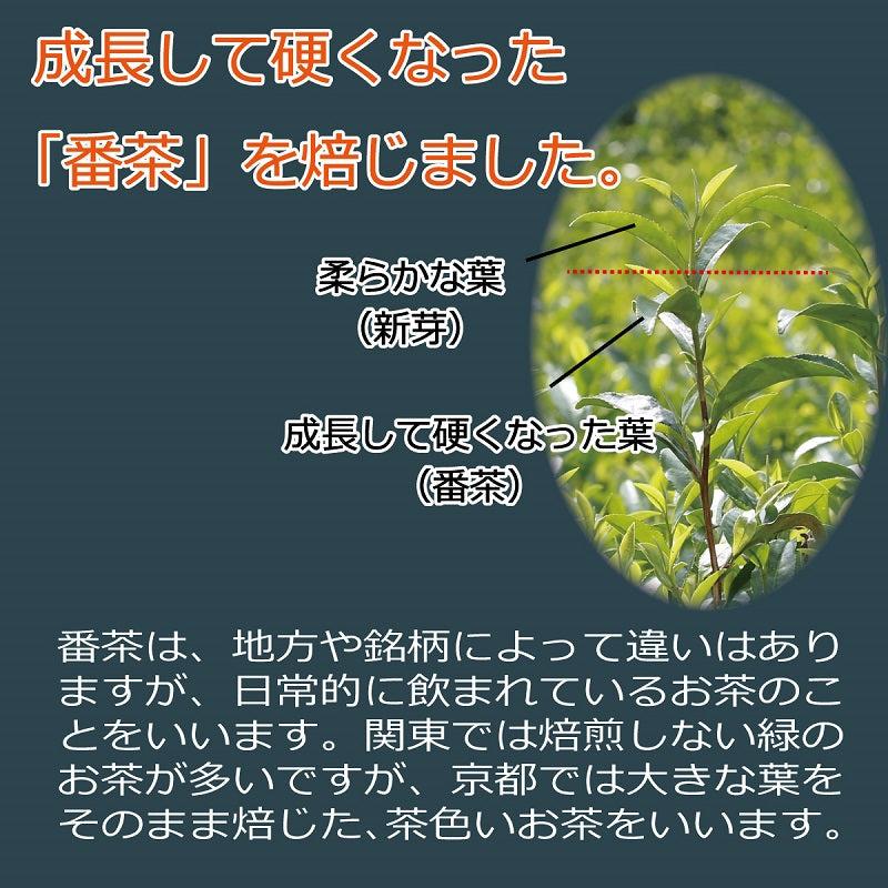 京番茶ティーパック 8g×24袋