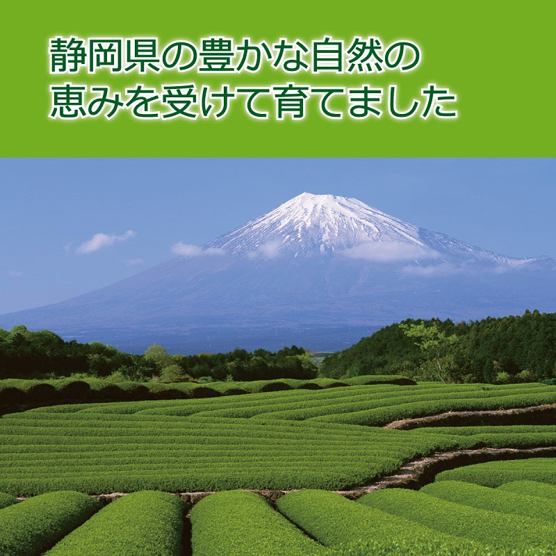 一番摘み掛川茶ティーバッグ 2g×20袋