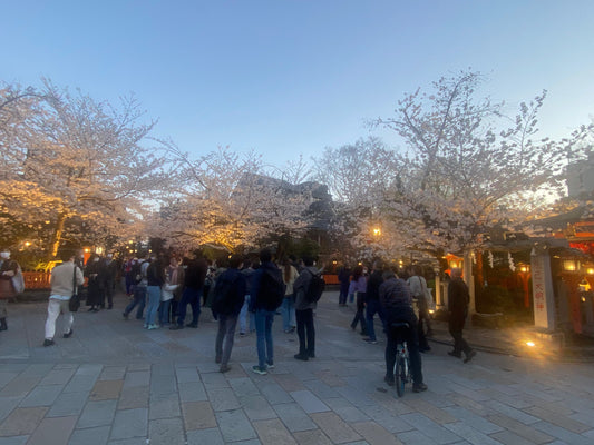 桜満開の祇園の賑わい