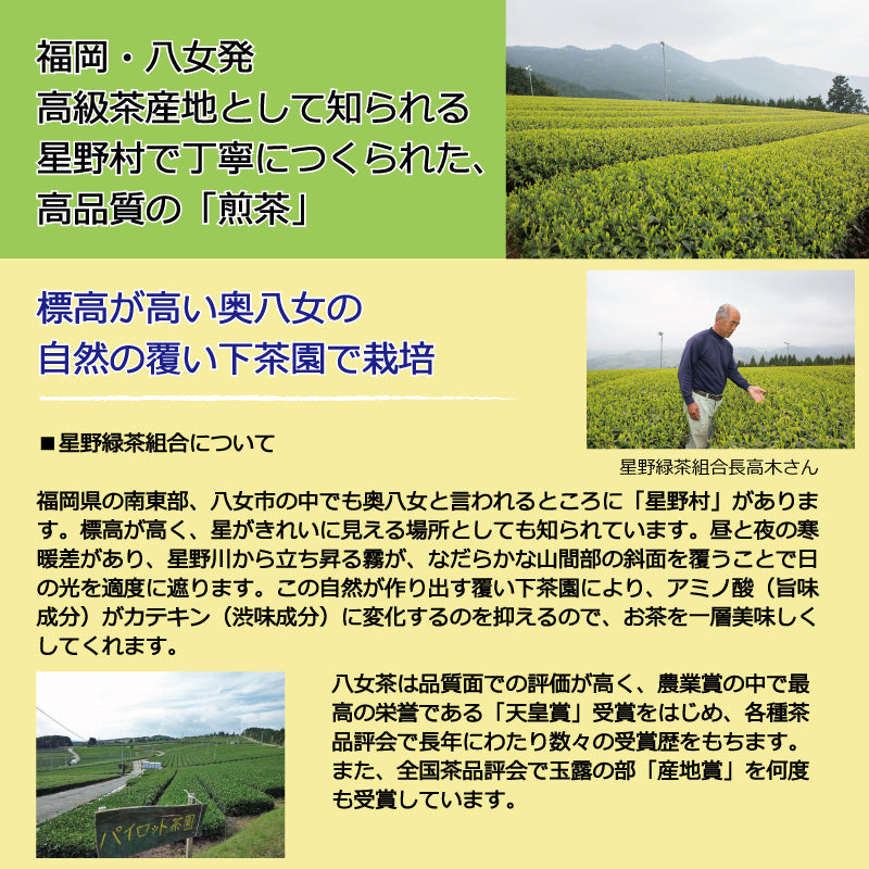 【福岡・八女】星野緑茶組合生産のお茶 ＜煎茶＞100ｇ